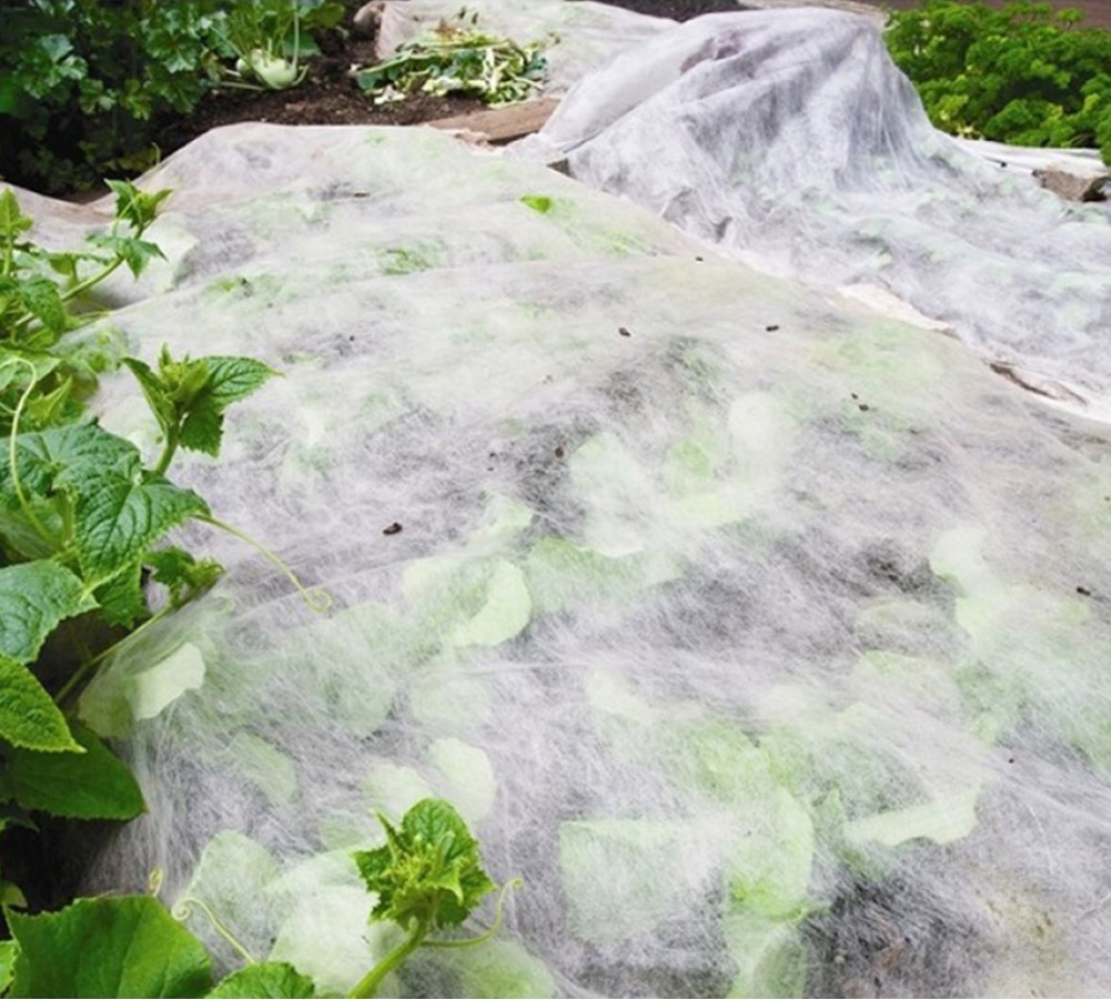 Frost Cloth &amp; Blankets Frost Protection for Plants