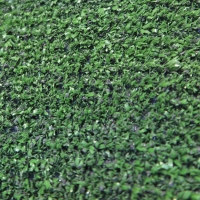 Rugged Synthetic Grass