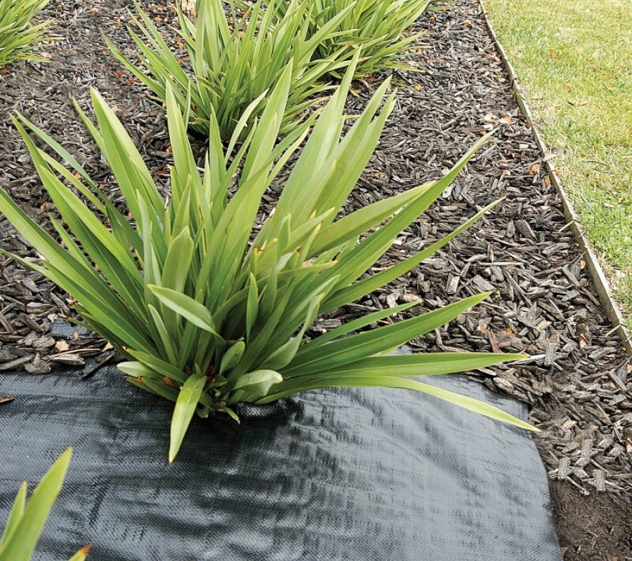 Weed Mat Quality Weed Matting Fabric Coolaroo