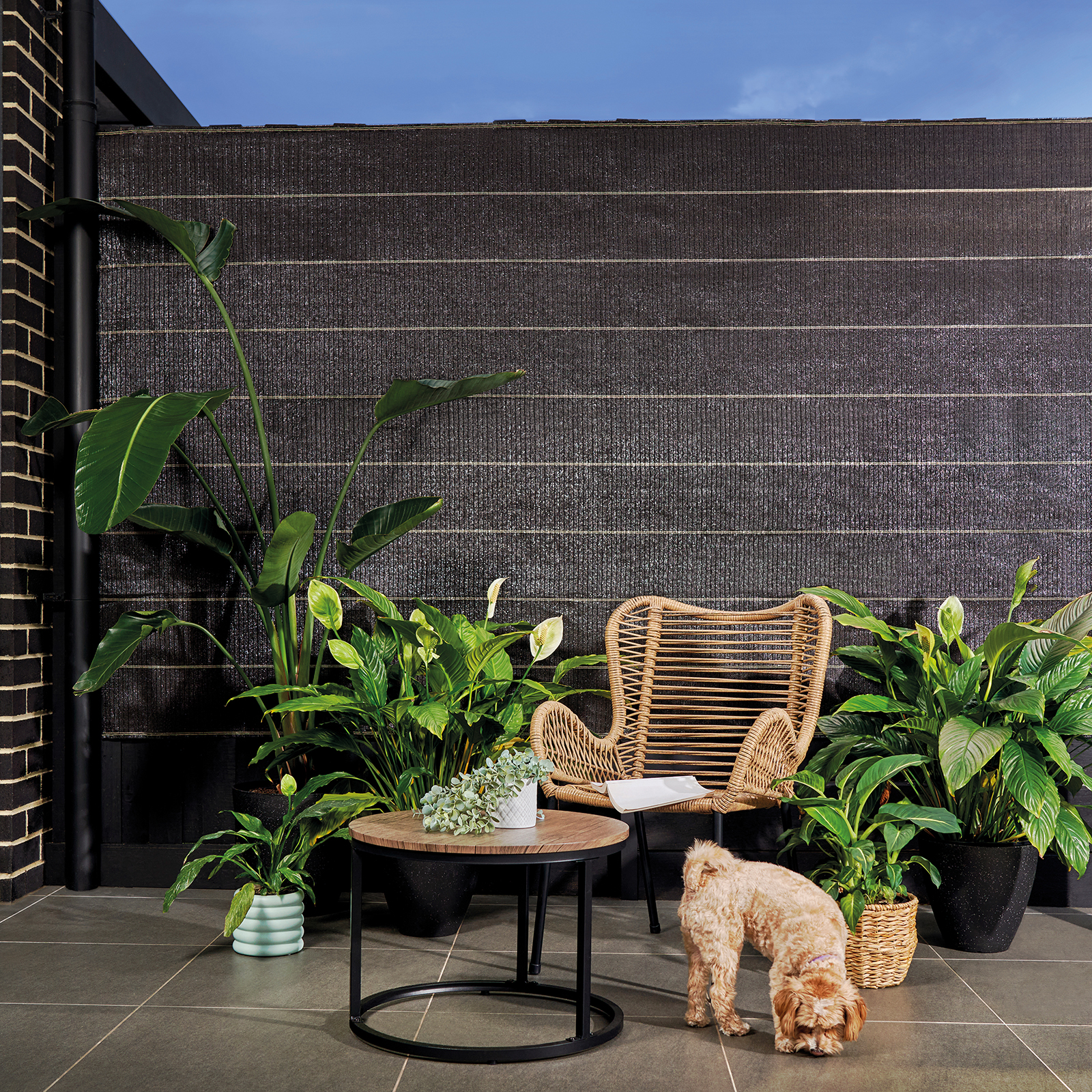 thumbnail image 2 of Coolaroo Builder's Block Privacy Screen - 12ft X 50ft Heavy-Duty Shade Fabric For Fences & Job Sites, Black 2 of 12