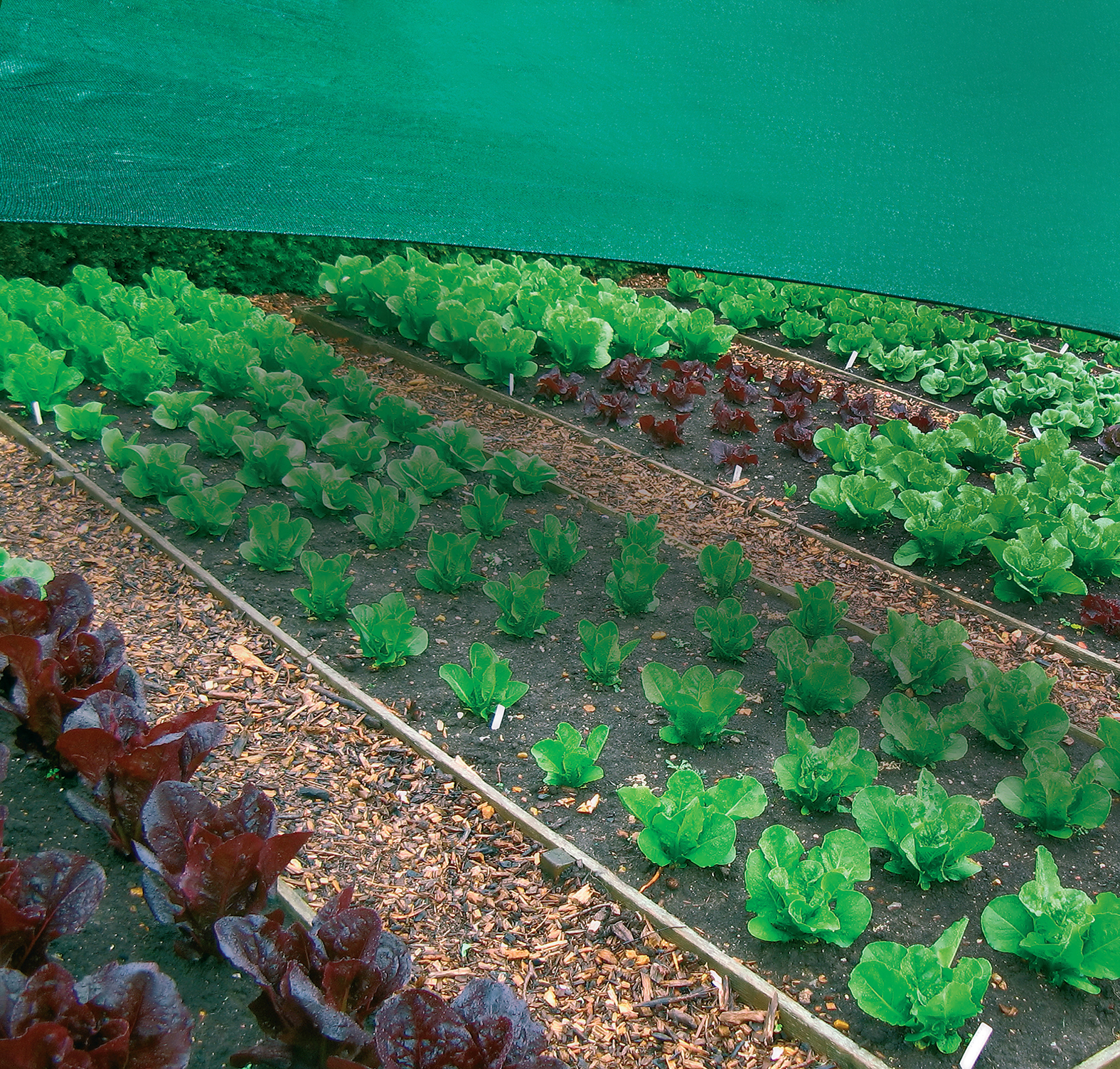 The smart Trick of Shade Fabric For Plants That Nobody is Talking About