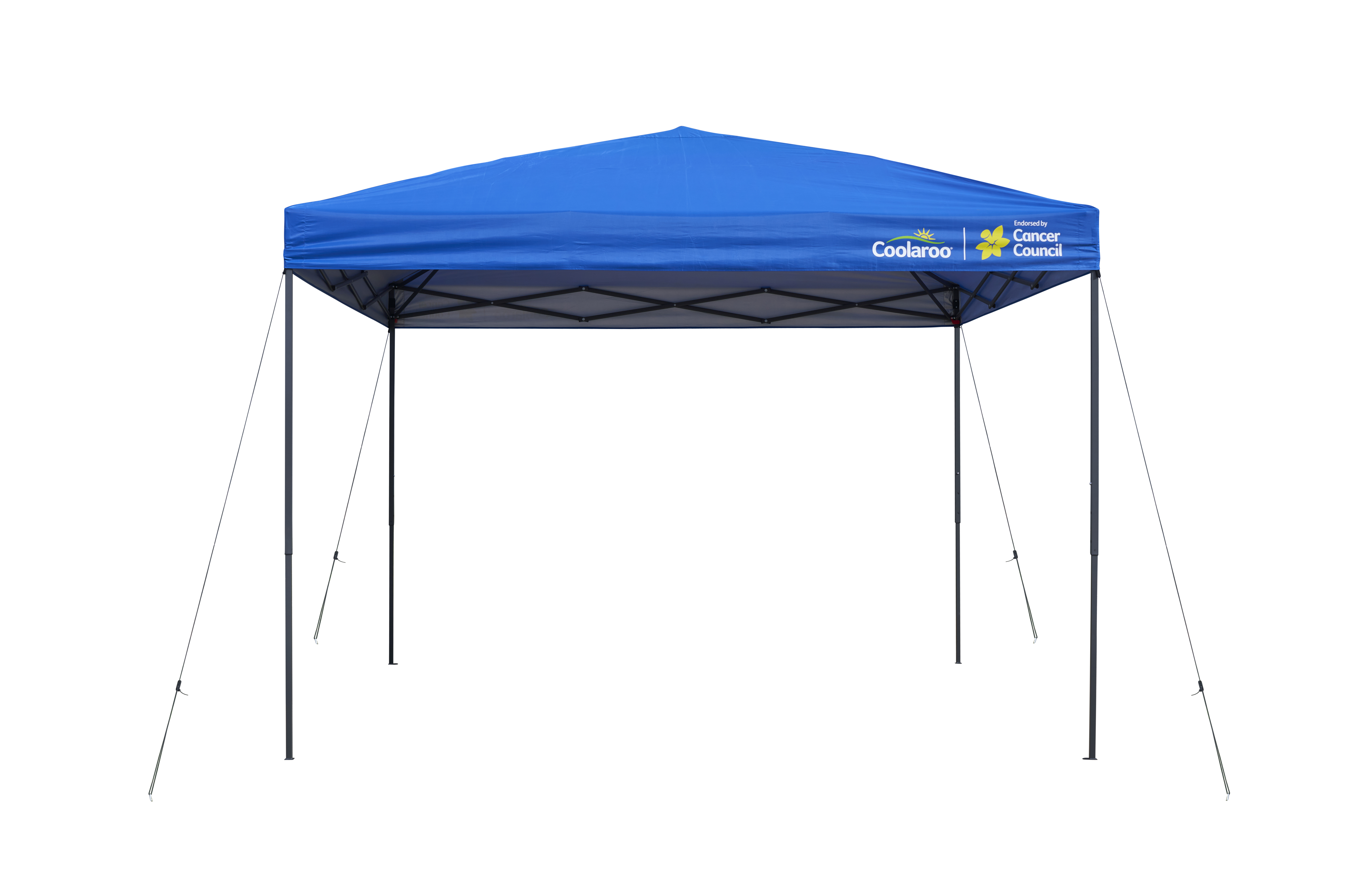 3 x 3 deals gazebo canopy