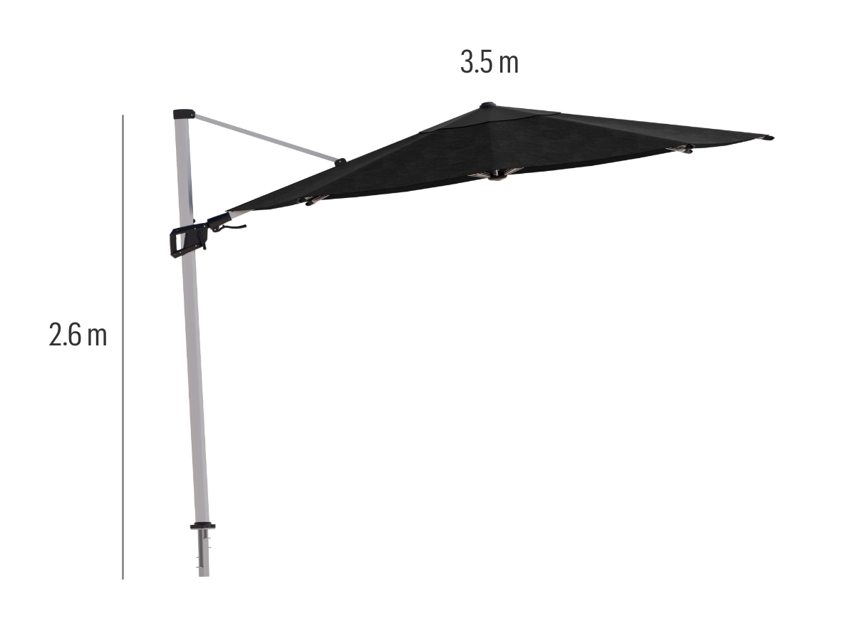 Carousel Image 6